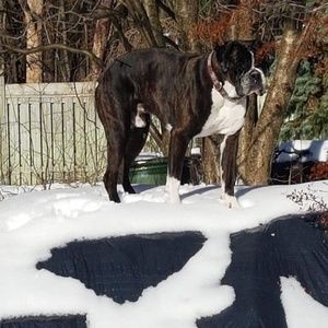 Meet your Posher, Louise